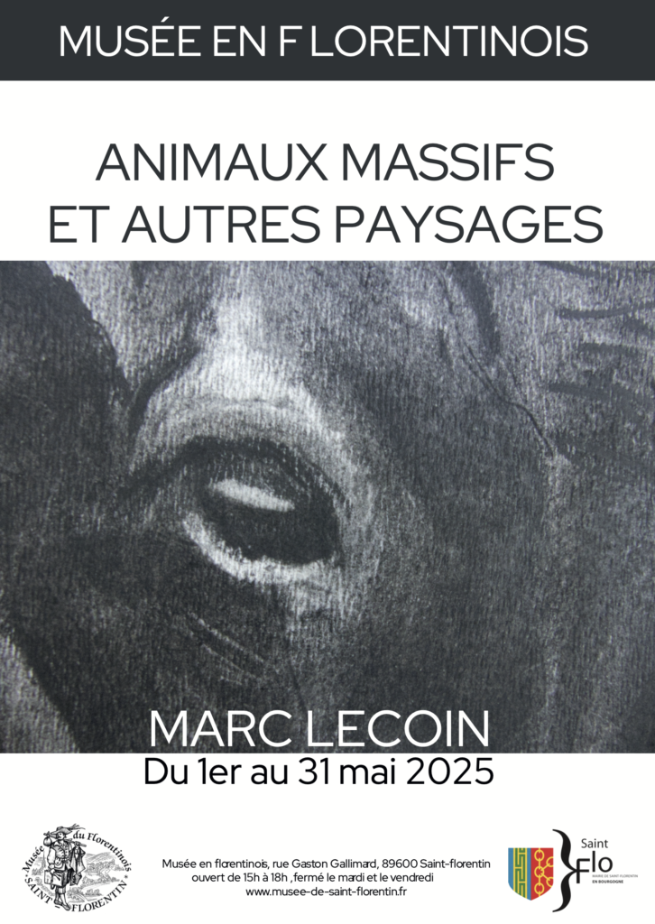 Animaux massifs et autres paysages
